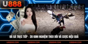 Đá gà trực tiếp – 20 kinh nghiệm theo dõi và cược hiệu quả