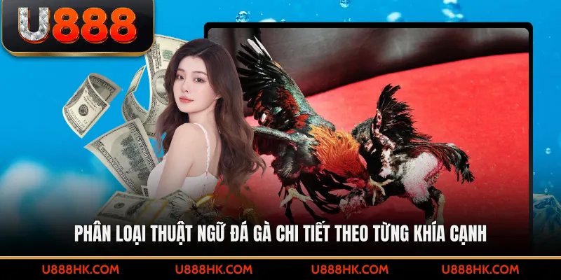 Phân loại thuật ngữ đá gà chi tiết theo từng khía cạnh