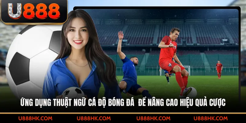 Ứng dụng thuật ngữ cá độ bóng đá để nâng cao hiệu quả cược