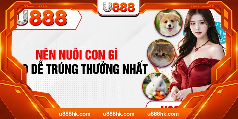 Nên nuôi con gì cho dễ trúng thưởng nhất